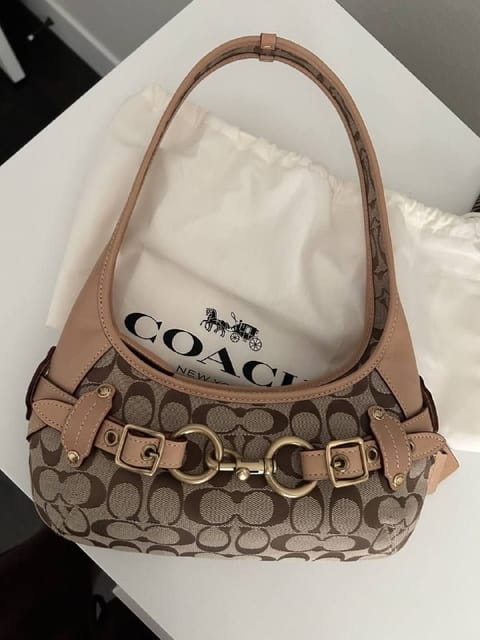 Coach handbag – Hacoo link