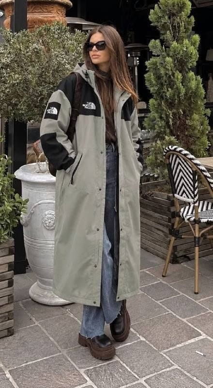 The North Face coat – Hacoo link